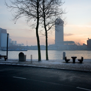 Rotterdam gen-2010