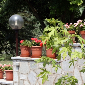 Casa Porcellana lug-2006