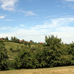 Paesaggi ago-2006