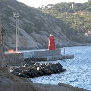 Giglio giu-2009