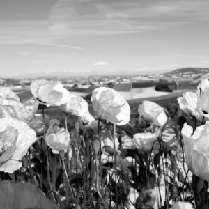 Bianco e nero